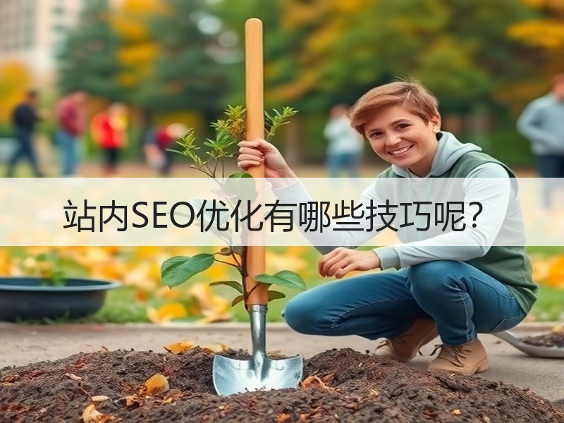 站内SEO优化有哪些技巧呢？