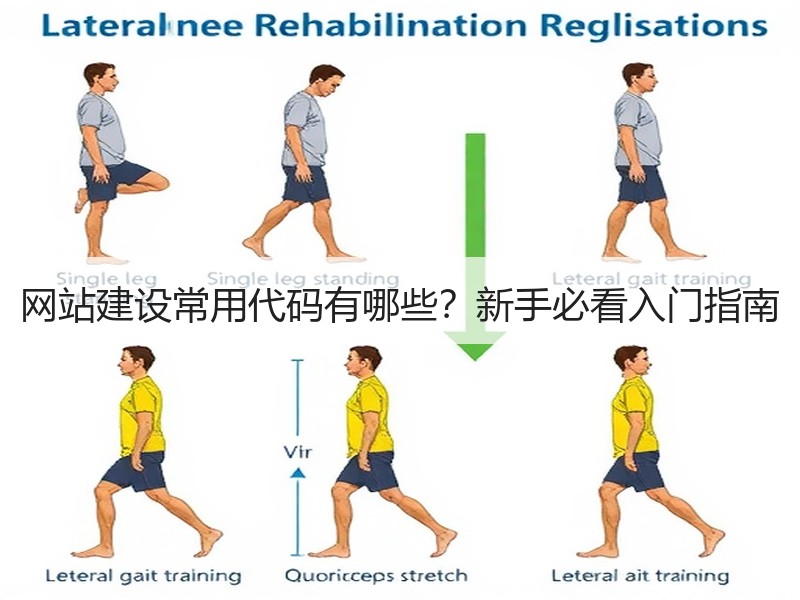 网站建设常用代码有哪些？新手必看入门指南