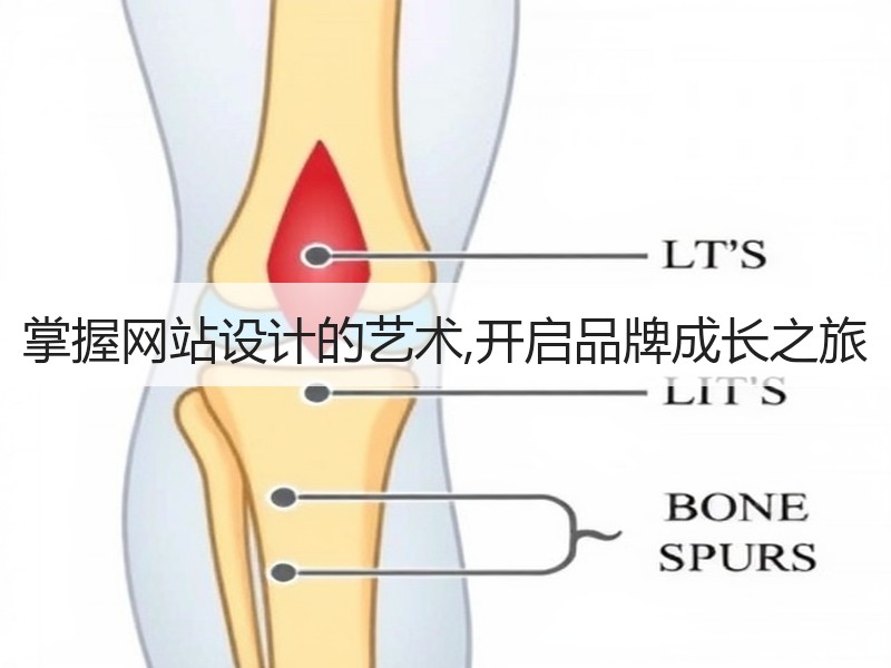 掌握网站设计的艺术,开启品牌成长之旅