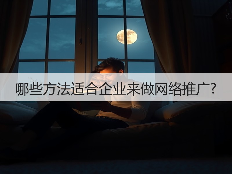 哪些方法适合企业来做网络推广?
