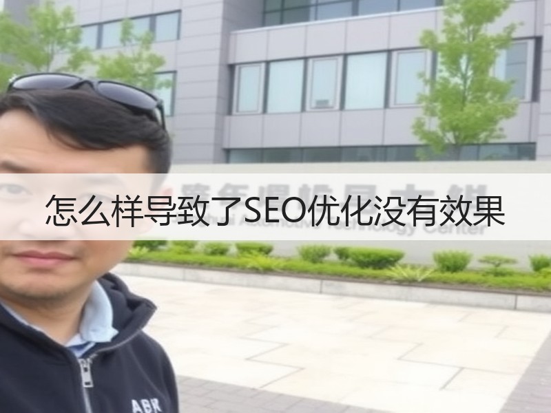 怎么样导致了SEO优化没有效果