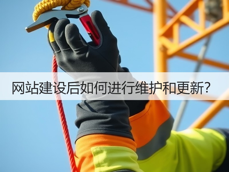 网站建设后如何进行维护和更新？