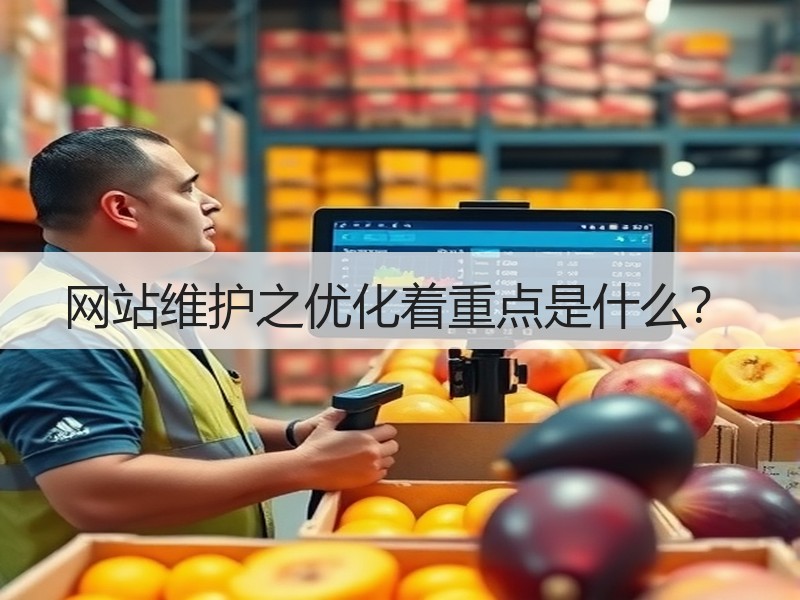 网站维护之优化着重点是什么？