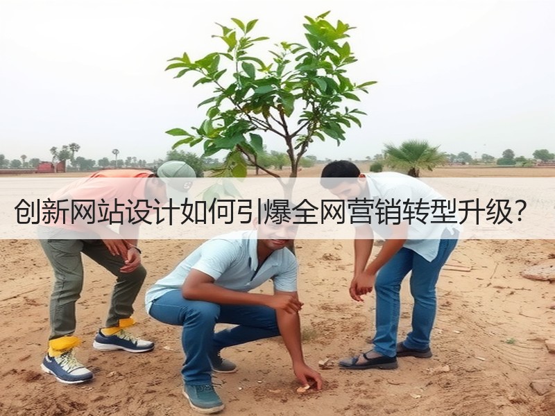 创新网站设计如何引爆全网营销转型升级？