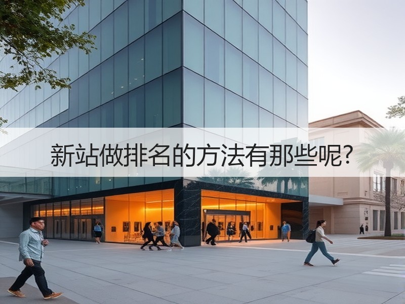 新站做排名的方法有那些呢?
