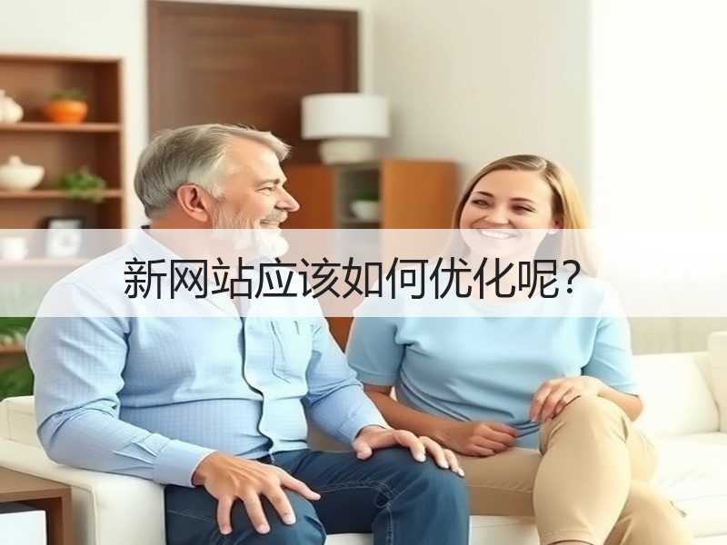 新网站应该如何优化呢？