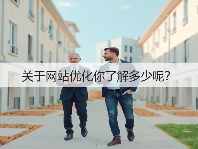关于网站优化你了解多少呢？