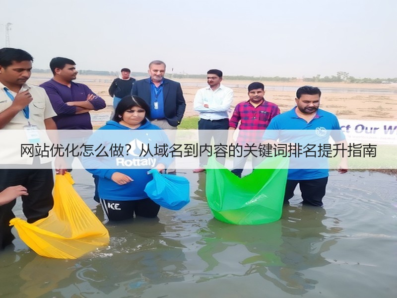 网站优化怎么做？从域名到内容的关键词排名提升指南