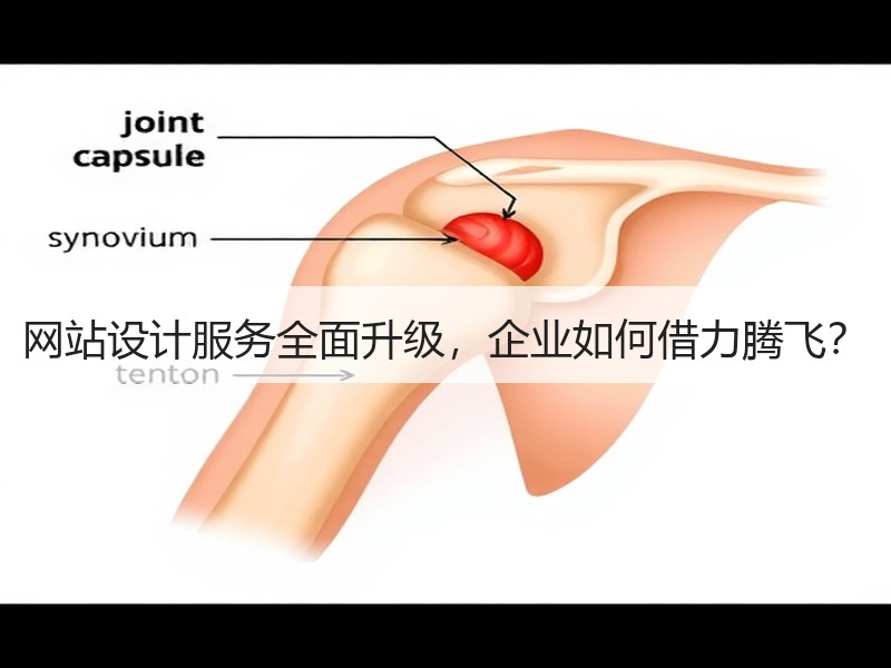 网站设计服务全面升级，企业如何借力腾飞？