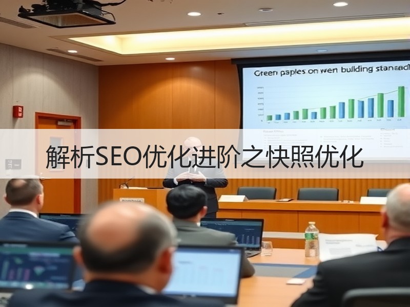 解析SEO优化进阶之快照优化