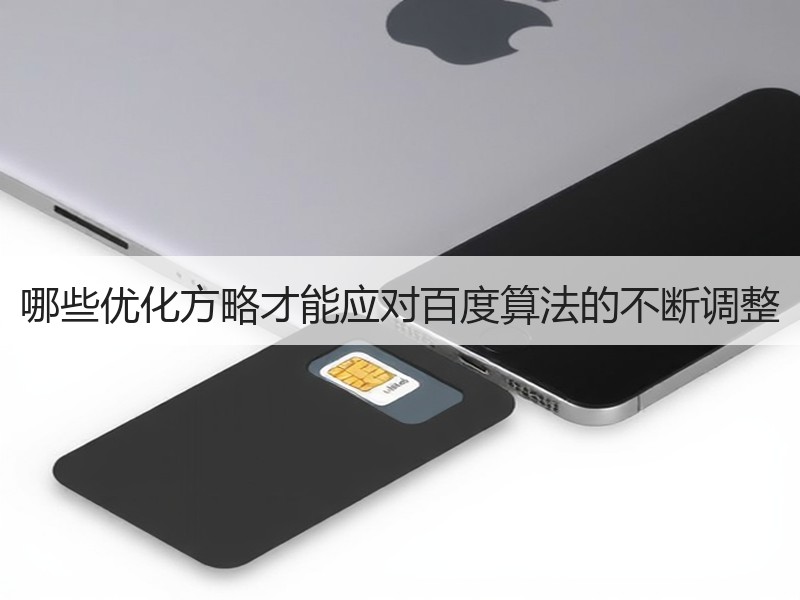 哪些优化方略才能应对百度算法的不断调整