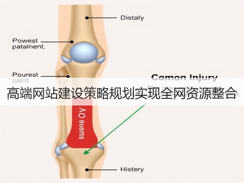 高端网站建设策略规划实现全网资源整合