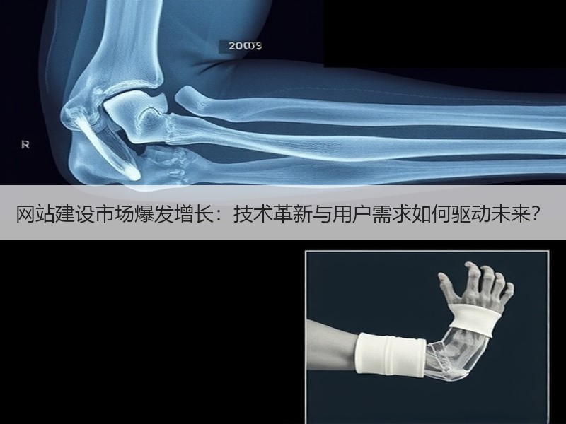 网站建设市场爆发增长：技术革新与用户需求如何驱动未来？