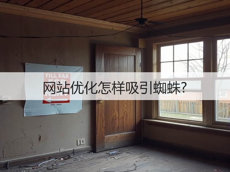 网站优化怎样吸引蜘蛛?