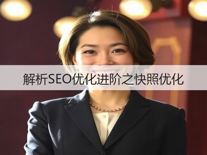 解析SEO优化进阶之快照优化