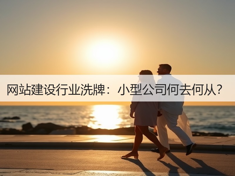 网站建设行业洗牌：小型公司何去何从？