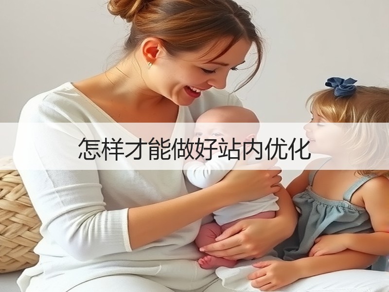 怎样才能做好站内优化