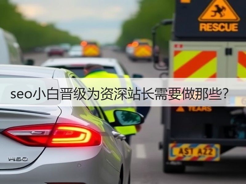 seo小白晋级为资深站长需要做那些？