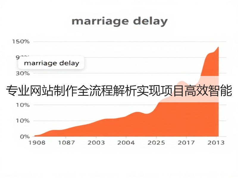 专业网站制作全流程解析实现项目高效智能