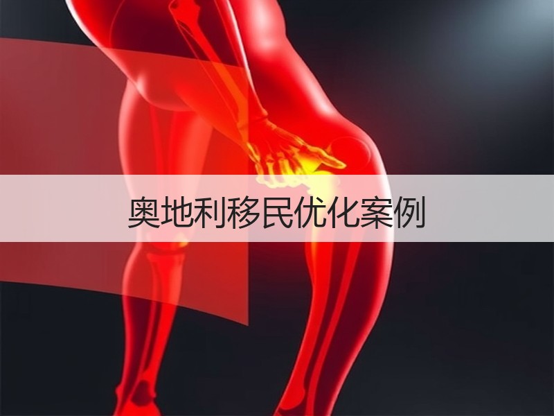 奥地利移民优化案例