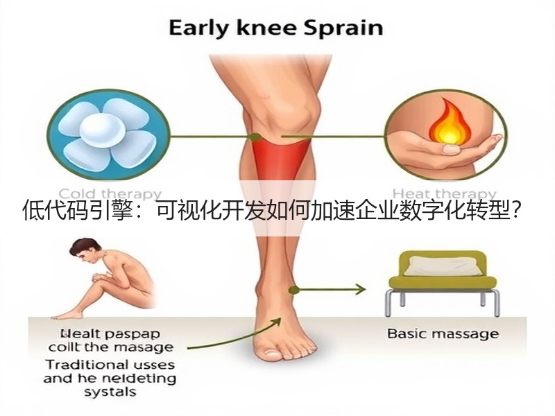 低代码引擎：可视化开发如何加速企业数字化转型？