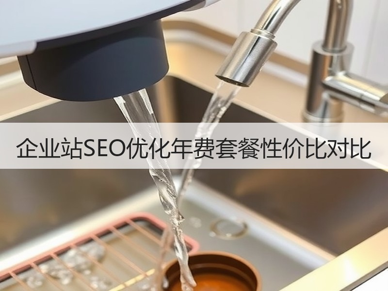 企业站SEO优化年费套餐性价比对比
