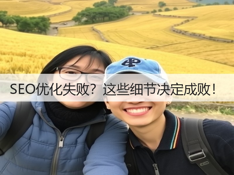 SEO优化失败？这些细节决定成败！