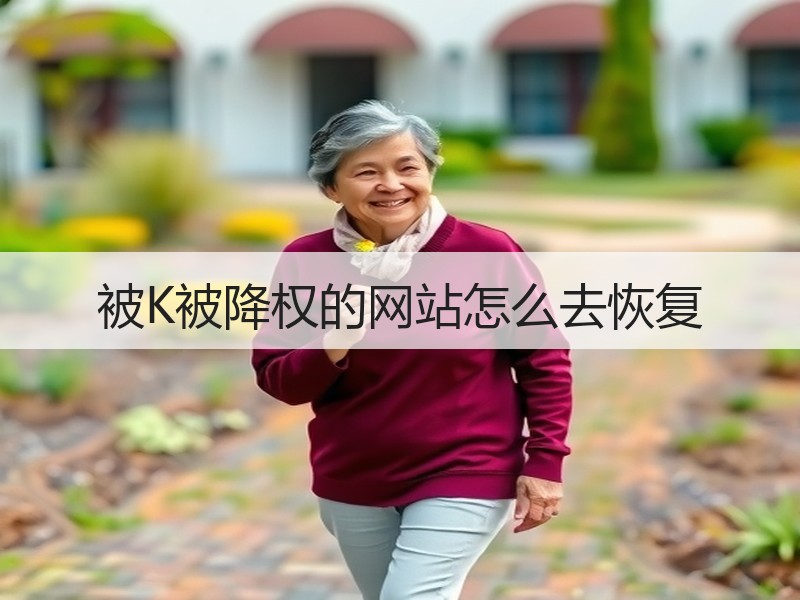 被K被降权的网站怎么去恢复
