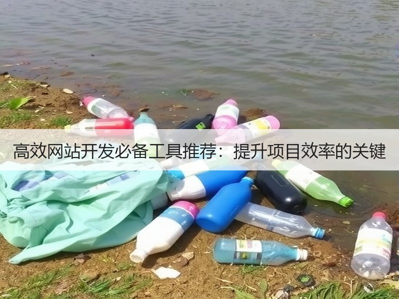高效网站开发必备工具推荐：提升项目效率的关键