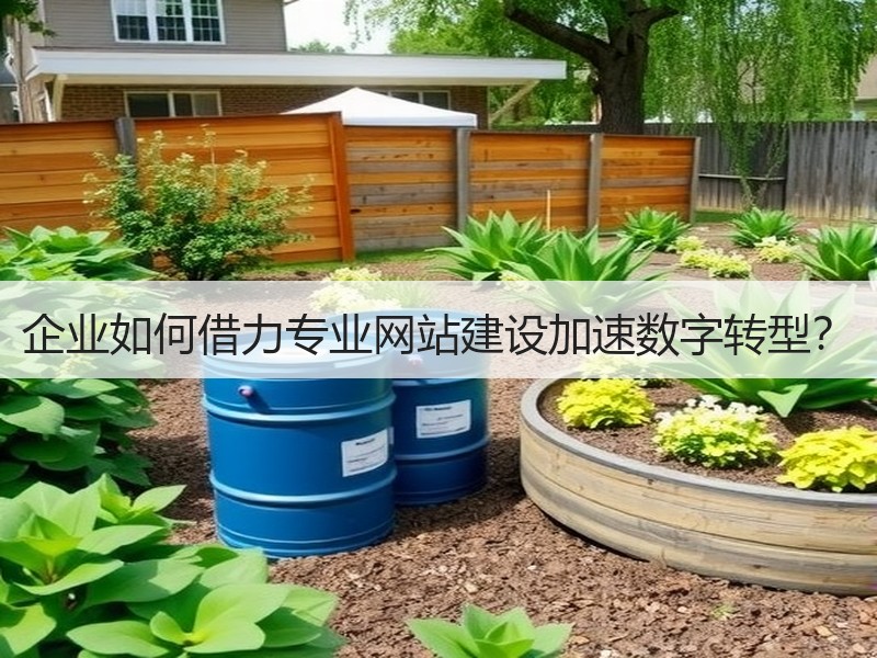 企业如何借力专业网站建设加速数字转型？
