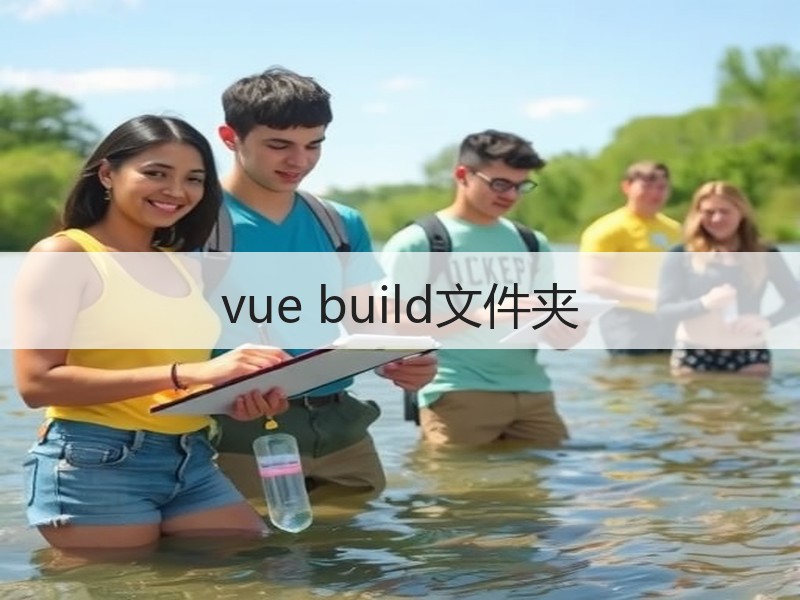 vue build文件夹